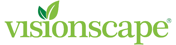 Visionscape our client